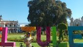 Fantastic bike tour to the Tule Tree