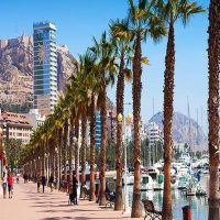 Ports of Call Tours