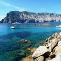 Half-day Tours