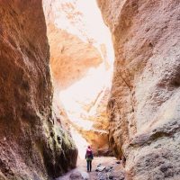 Walking Tours
