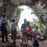 Bus & Minivan Tours