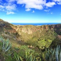Bus & Minivan Tours