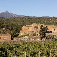 Ports of Call Tours