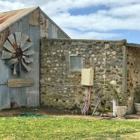 Wine Tasting & Winery Tours