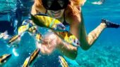 Best Small Group Boat Tour in Tropea