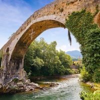 Full-day Tours