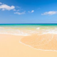 Bus & Minivan Tours