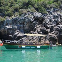 Cruises, Sailing & Water Tours