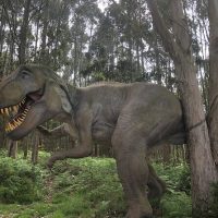 Archaeology Tours