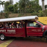 Shopping Tours