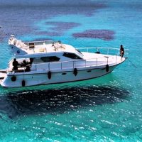 Private Sightseeing Tours