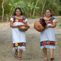 Cruises, Sailing & Water Tours