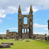 Luxury Tours