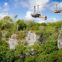 Theme Park Tickets & Tours