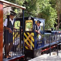 Plantation Tours