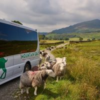 Day Trips & Excursions