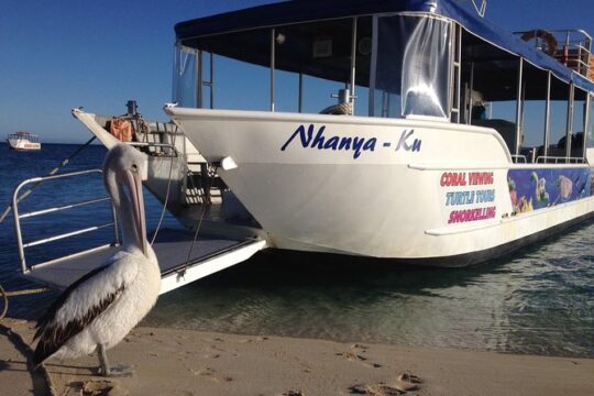 Easter in Coral Bay