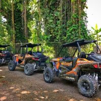 Luxury Tours