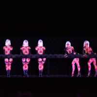 Light & Sound Shows