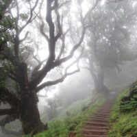 Romantic Tours