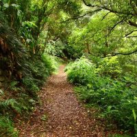 Walking & Biking Tours