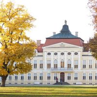 Audio Guided Tours