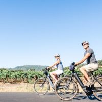 Bike Rentals