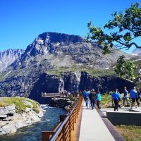 Tours & Sightseeing