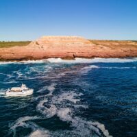 Cruises, Sailing & Water Tours