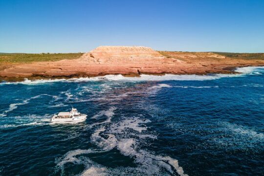 Halloween in Kalbarri