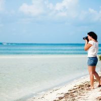 Cruises, Sailing & Water Tours