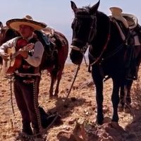 Horseback Riding