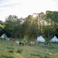 Multi-day & Extended Tours