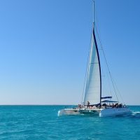 Catamaran Cruises
