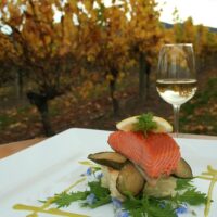Wine Tasting & Winery Tours