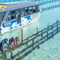 Cruises, Sailing & Water Tours