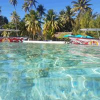 Hop-on Hop-off Tours