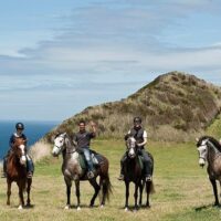 Horseback Riding