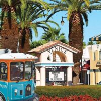 Cultural & Theme Tours