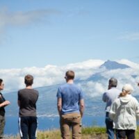 Luxury Tours