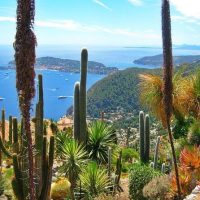 Private & Custom Tours
