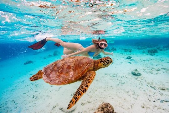 New Year’s Eve in Cook Islands