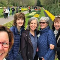 Day Trips & Excursions