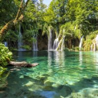 Eco Tours