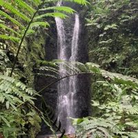 Walking & Biking Tours