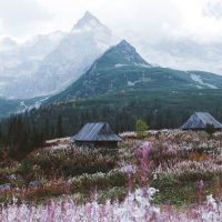 Hiking & Camping