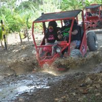 Private & Custom Tours