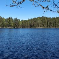 Day Trips & Excursions