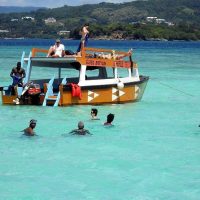 Day Cruises