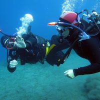 Scuba Diving